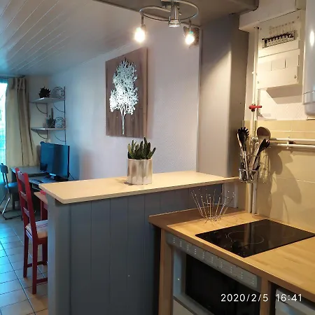 Brou-seillon : Entre Histoire Et Nature * Bourg-en-Bresse