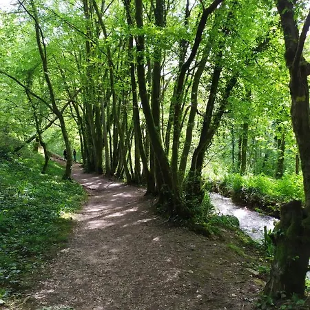 Brou-seillon : Entre Histoire Et Nature Bourg-en-Bresse